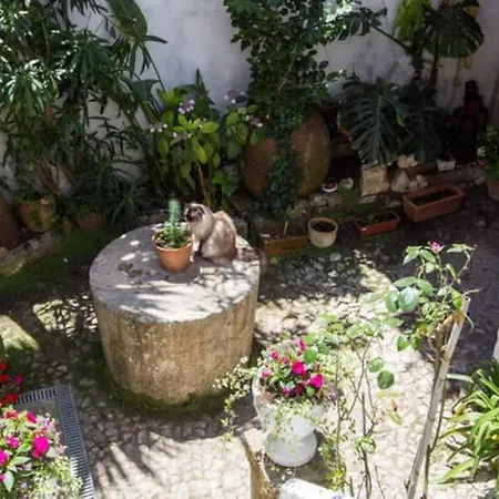 Hébergement de vacances Charming House With 3 Bedrooms Óbidos
