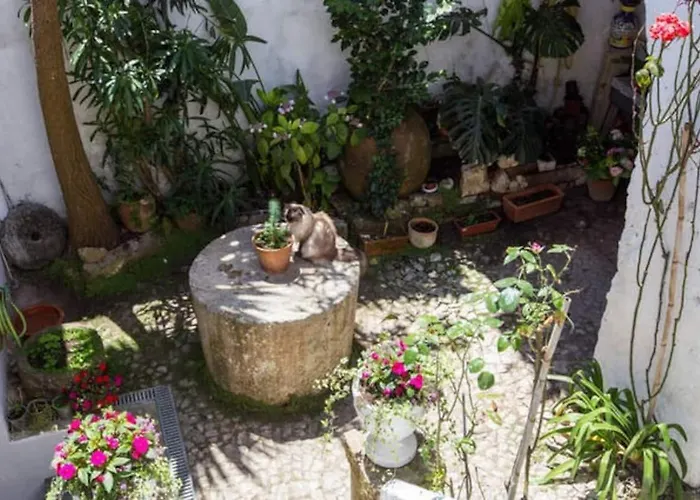 Дом отдыха Charming House With 3 Bedrooms Обидуш